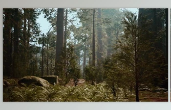 Download Tall Forest of Sequoias in Yosemite National <span class='badge badge-warning'>Park</span> (Videohive 47581270)