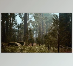 Download Tall Forest of Sequoias in Yosemite National Park (Videohive 47581270)