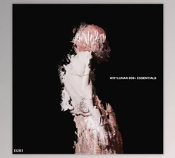Download Whylunar 808+ essentials (WAV)