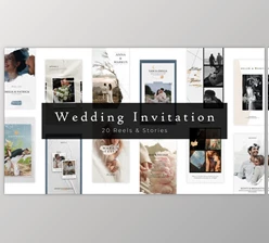 Download 20 Elegant Wedding Invitation Reels and Stories (Videohive 48199130) - AE Project