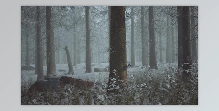 Download Winter Pine Forest with Fog in the Background (Videohive 47581362)