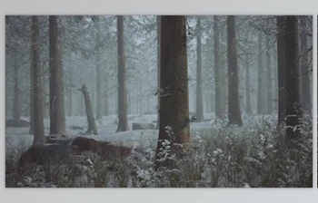 Download Winter <span class='badge badge-warning'>Pine</span> Forest with Fog in the Background (Videohive 47581362)