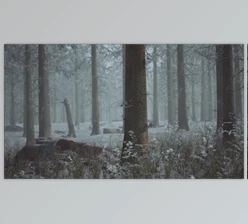 Download Winter Pine Forest with Fog in the Background (Videohive 47581362)
