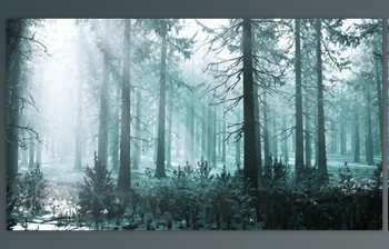 Download Winter <span class='badge badge-warning'>Foggy</span> Beech and Spruce Forest Scene (Videohive 47581102)