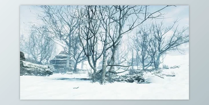Download Winter Deciduous Forest on a Foggy Morning (Videohive 47581220)