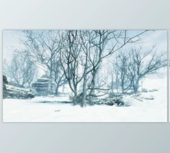 Download Winter Deciduous Forest on a Foggy Morning (Videohive 47581220)