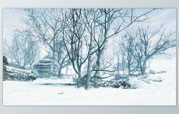 Download Winter Deciduous Forest on a <span class='badge badge-warning'>Foggy</span> Morning (Videohive 47581220)