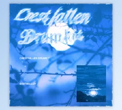 Download Malloy Crestfallen Drumkit (WAV)