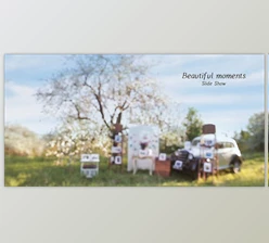 Download Photo Gallery – Beautiful Moments (Videohive 16115818) - AE Project