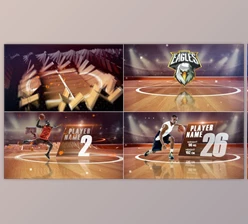 Download Basketball Players (Videohive 48371517) - AE Project