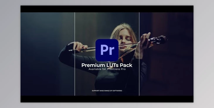 Download LUT Color Presets | Premiere Pro (Videohive 43193572) - PR Project
