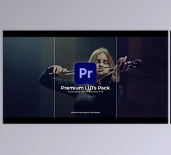 Download LUT Color Presets | Premiere Pro (Videohive 43193572) - PR Project