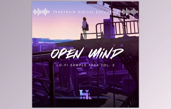 Download TrakTrain Open Mind Lo Fi Sample Pack vol. <span class='badge badge-warning'>2</span>