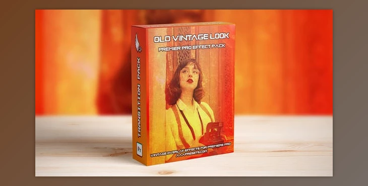 Download Old & Damaged Film Looks Overlay Effect (Videohive 48457779) - PR Project