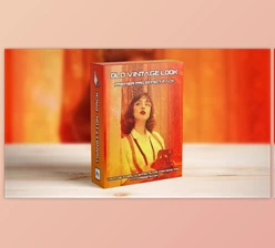 Download Old & Damaged Film Looks Overlay Effect (Videohive 48457779) - PR Project