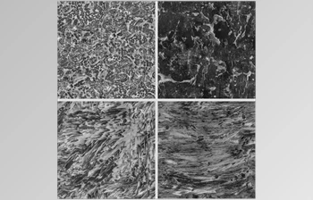 Download Artstation – Surface Imperfections – Water Stains <span class='badge badge-warning'>Pack</span>