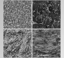 Download Artstation – Surface Imperfections – Water Stains Pack