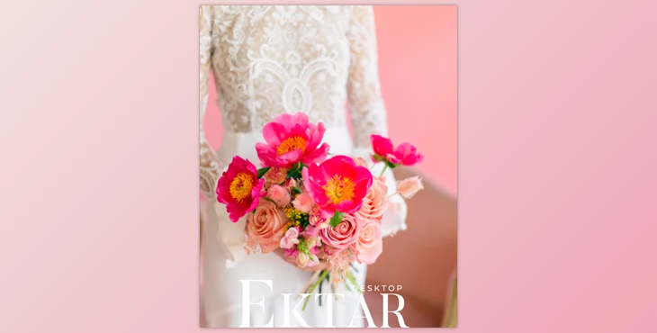 Download REFINED – Ektar Presets