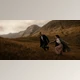 Download DVLOP – The Kitcheners – Majestic Presets + Video Guide