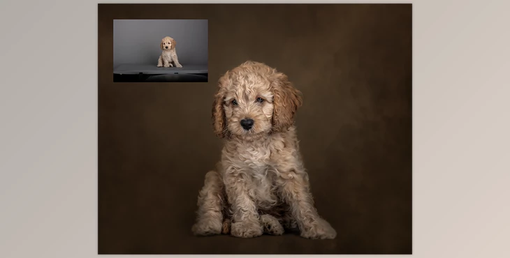Download Sweet Soul Studio Fine Art Painterly Pets Collection