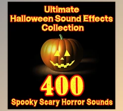 Download Dr. Sound Effects Ultimate Halloween Sound Effects Collection 400 Spooky Scary Horror Sounds