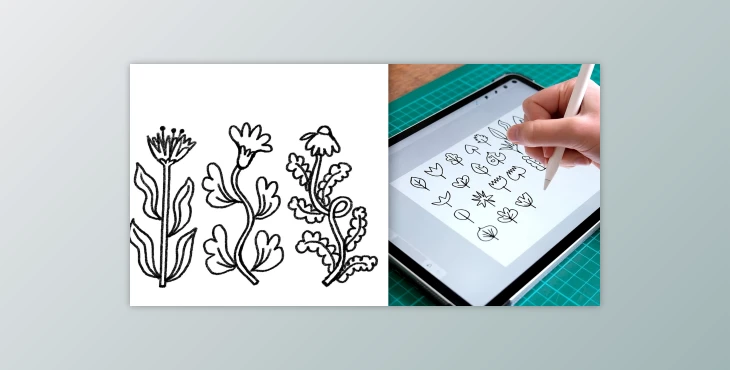 Download Flowers & Foliage: Drawing Plants & Botanical Illustrations in Procreate