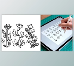 Download Flowers & Foliage: Drawing Plants & Botanical Illustrations in Procreate