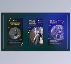 Download Collection for nature stories (Videohive 47990334) - AE Project