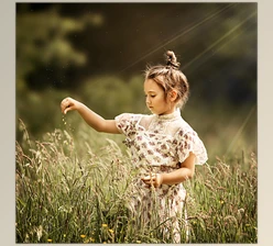 Download Sweet Soul Studio: Blur the Background