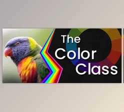 Download Practical Color Theory: Everything you need to know for Art & Design