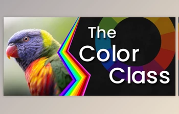 Download Practical Color Theory: Everything you need to know for <span class='badge badge-warning'>Art</span> & Design