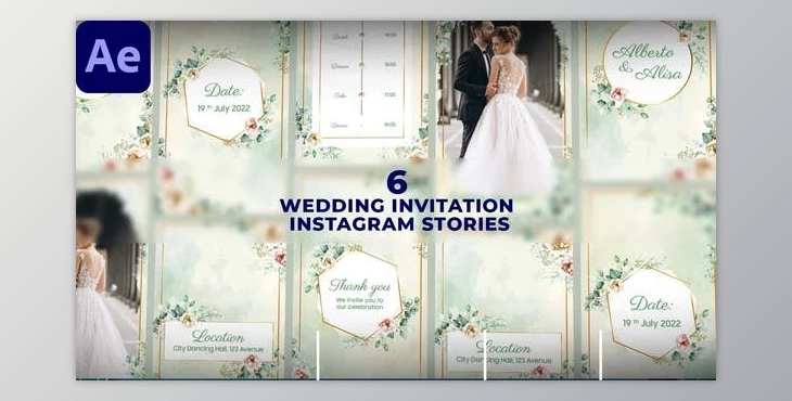 Download Wedding Invitation Instagram Stories (Videohive 47523284) - AE Project