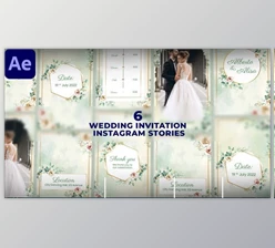 Download Wedding Invitation Instagram Stories (Videohive 47523284) - AE Project