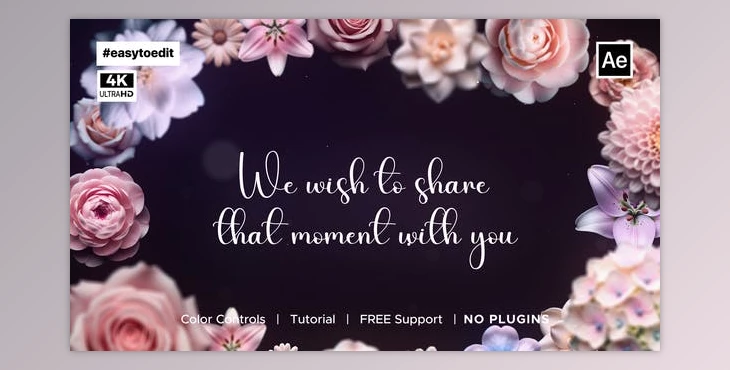 Download Wedding Animated Invitation (Videohive 48805989) - AE Project