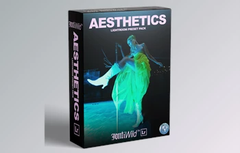 Download Jont Wild – Aesthetics Lightroom Preset <span class='badge badge-warning'>Pack</span>