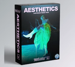 Download Jont Wild – Aesthetics Lightroom Preset Pack