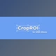 Download AEScript CropROI 1.2 (Current version)