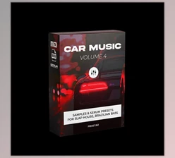 Download Preset Biz Car Music Vol. 4