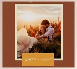 Download G-Presets + Dani Purington Presets