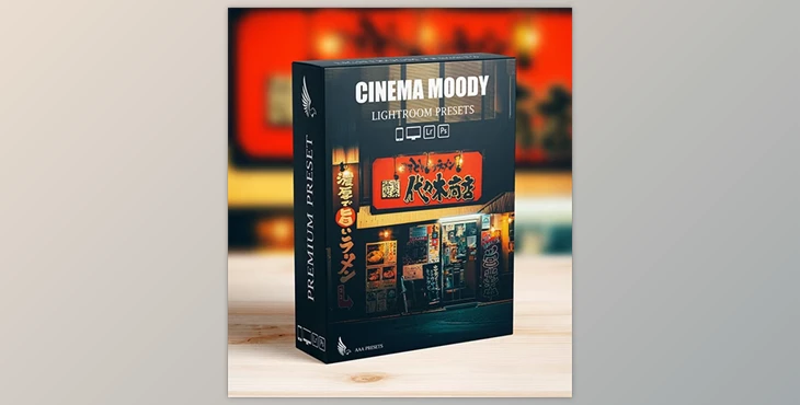Download Street Cinematic Dark Moody Lightroom Presets