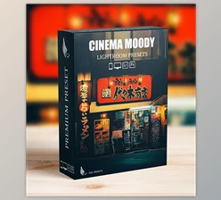Download Street Cinematic Dark Moody Lightroom Presets