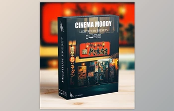 Download <span class='badge badge-warning'>Street</span> Cinematic Dark Moody Lightroom <span class='badge badge-warning'>Presets</span>