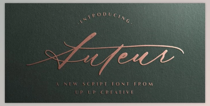 Download Auteur Script Font