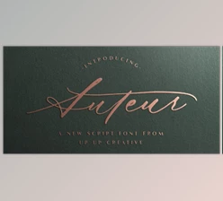 Download Auteur Script Font