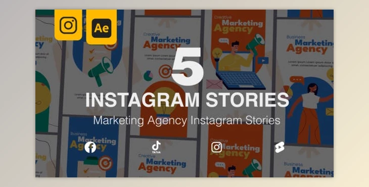 Download Marketing Agency Instagram Stories (Videohive 47252916) - AE Project