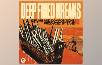 Download Tane Deep Fried Breaks (<span class='badge badge-warning'>WAV</span>)