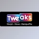 Aescripts - Download Tweaks v1.2.8 (Win, Mac)