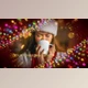 Download Christmas Lights Promo (Videohive 42315841) - AE Project