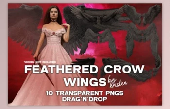Download 10 3D Crow Wings Photo <span class='badge badge-warning'>Overlay</span> PNGs