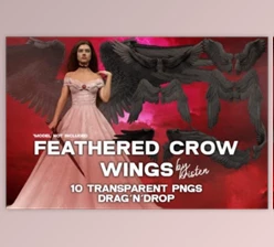 Download 10 3D Crow Wings Photo Overlay PNGs